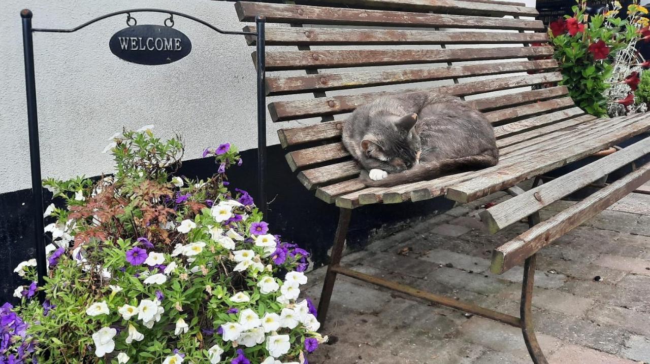 Rustiek Andijk Bed & Breakfast Екстериор снимка
